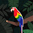 @cignandrea's avatar