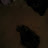 @wth.happened