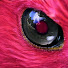 Tit-swONtHM-channel-avatar-PinkOddBird