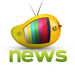 Mango News Net Worth