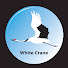 HzFp3Z2OSII-channel-avatar-White Crane Aquarium