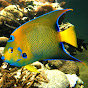 Smithsonian Marine Station Avatar