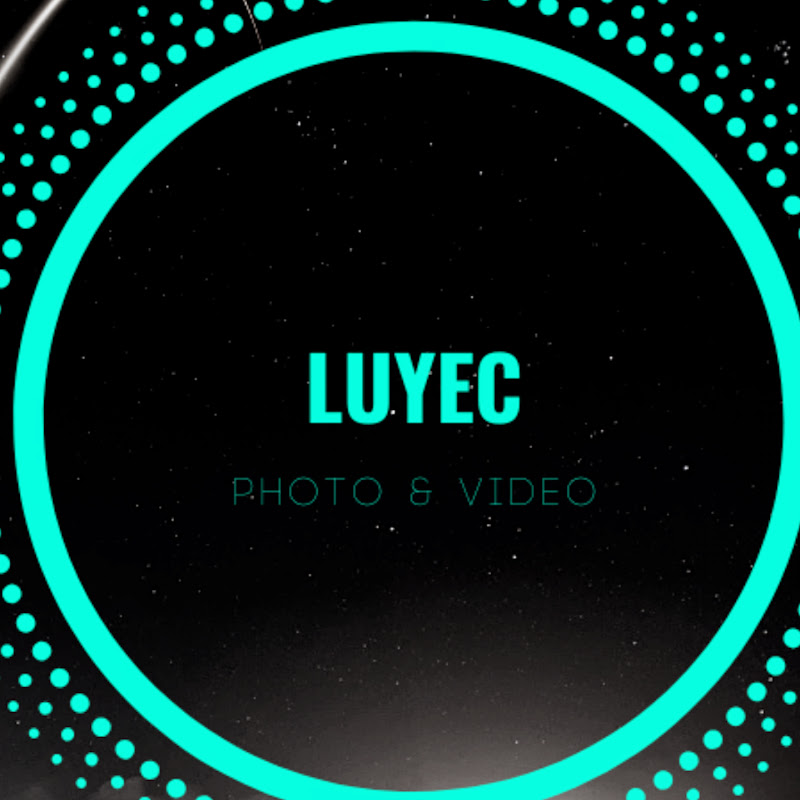 luyec icon