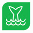 k2hVO-n5NNI-channel-avatar-BigWaveZ Cycle Clips
