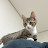 @user-py4qm2ck7e