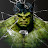 @plasmarun544 Avatar
