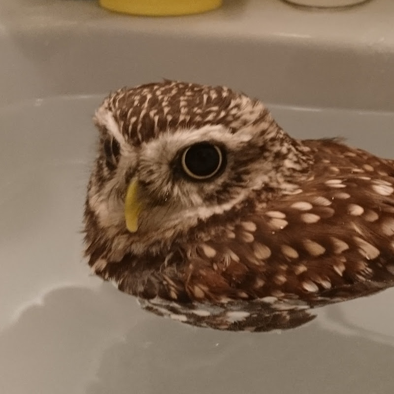 木村英俊のサムネイル