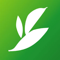 丸山製茶アイコン画像
