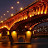 @halaelsayed2486