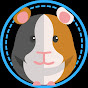 Guinea Pig Hut logo