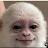 @stevenholdridge7546 Avatar