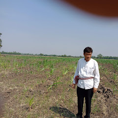 prateep yoosook