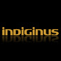 tcindiginus