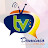 DOMINIO TV ONLINE