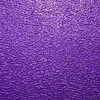 Raf May profile image