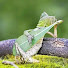 PL2rv3IpxTE-channel-avatar-ThisIsCivic
