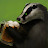 @badgerpants1872