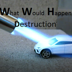 WWH Destruction Avatar