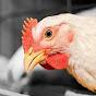 دواجن اون لاين Poultry Online logo