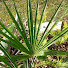 _U0u8Le79Rg-channel-avatar-Junglehaven i Danmark