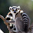 @oyundelisilemur3975