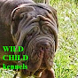 NEAPOLITAN MASTIFF AT WILD CHILD kennels logo