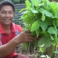 Kebun Organik avatar