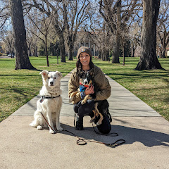 Sarah Walsh - Dog Trainer Avatar