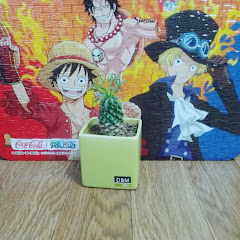 さぼてんパインズ