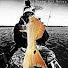 gLvjxRMBQgY-channel-avatar-Texas All Water Fishing