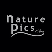 NaturePicsFilms