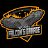 Eh1aSfG4TOY-channel-avatar-Falcon's Garage