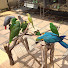4l7wYEfrx88-channel-avatar-Bird School