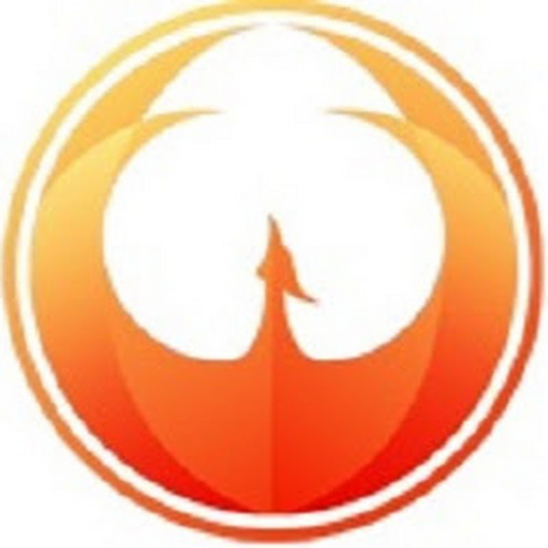 Phoenix Credit Advisors Legally Raise Your Credit Score & Improve Your Credit
