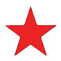 Socialist Action USA logo