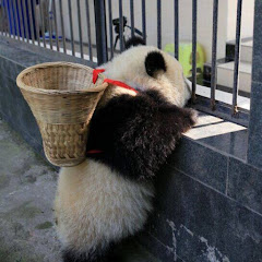 开心时刻Funny Timeアイコン画像