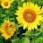 @user-rw3hq6jc2e