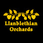 Llanblethian Orchards Cider Makers logo