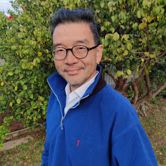 王震宇宇論 Yulunアイコン画像