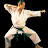 Armenia Shotokan Karate