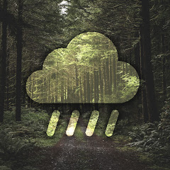 Momento de chuva Avatar