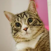 パンドラの箱