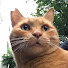 ribSl2KJtgQ-channel-avatar-copycat