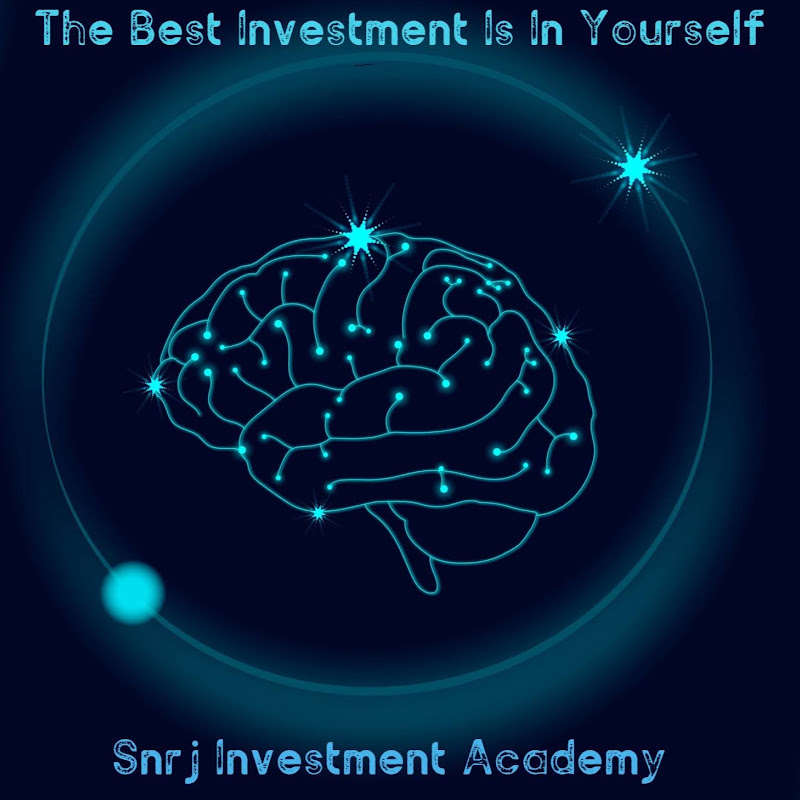 SNRJ Investment Academy profile avatar