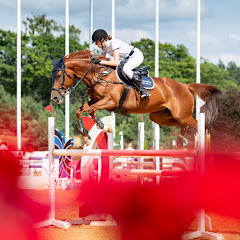 P.Misior Show Jumping net worth