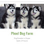 Phool Dog Farm logo
