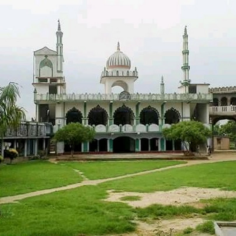Sheikh M.Saifullah