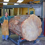 Logs To Lumber
