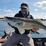 dhoV-NZ3qZ4-channel-avatar-Paul Monaghan