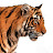 Ranthambhore Tiger Reserve Wildlifelovers